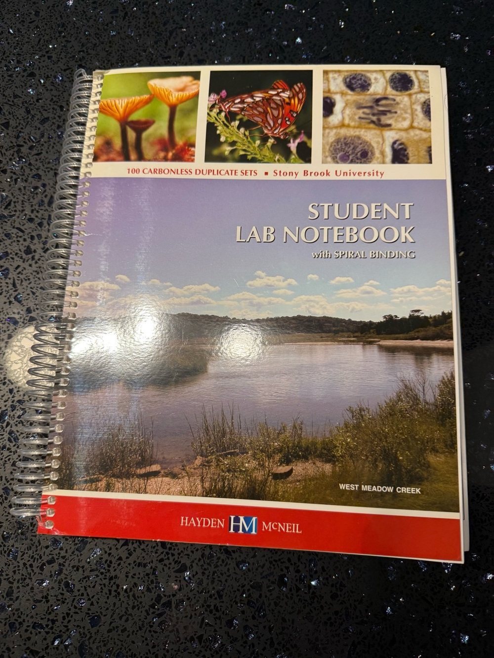 Stonybrook university students lab book by Hayden McNeil